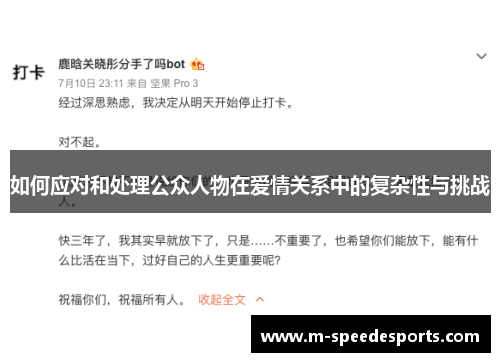 如何应对和处理公众人物在爱情关系中的复杂性与挑战